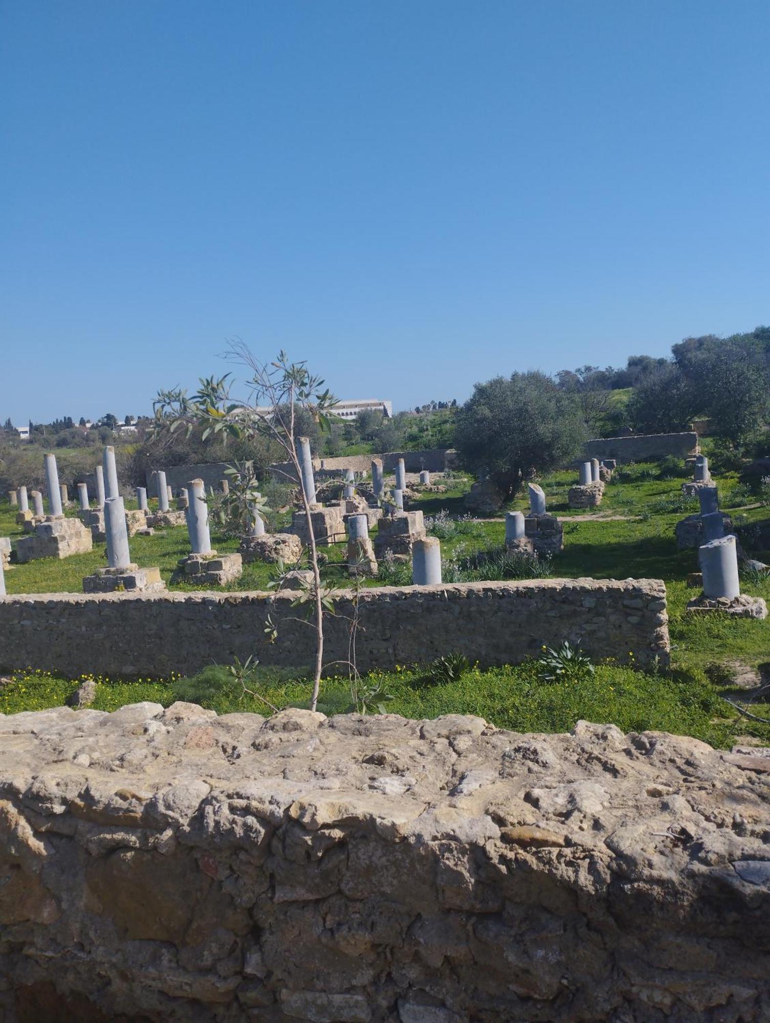 Appartement A Carthage Byrsa Kültér fotó